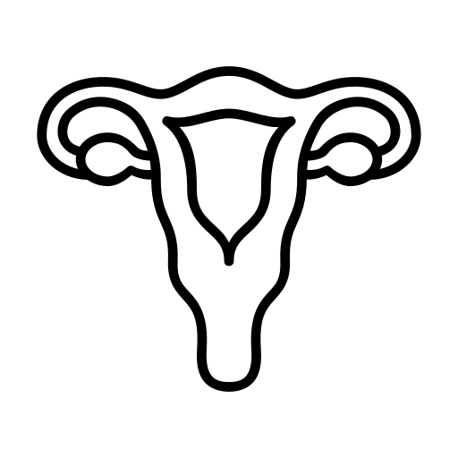 Icone uterus féminin